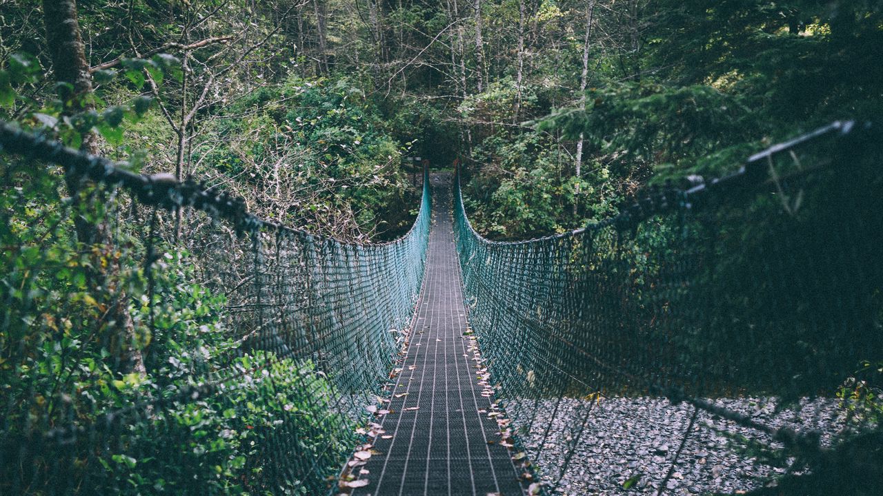 Wallpaper suspension bridge, rope, trees, forest