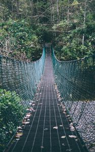 Preview wallpaper suspension bridge, rope, trees, forest