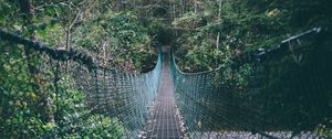 Preview wallpaper suspension bridge, rope, trees, forest