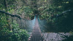 Preview wallpaper suspension bridge, rope, trees, forest