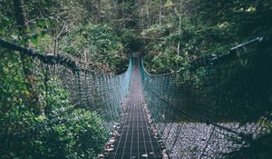 Preview wallpaper suspension bridge, rope, trees, forest