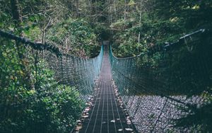 Preview wallpaper suspension bridge, rope, trees, forest