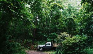 Preview wallpaper suv, forest, trees