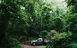Preview wallpaper suv, forest, trees