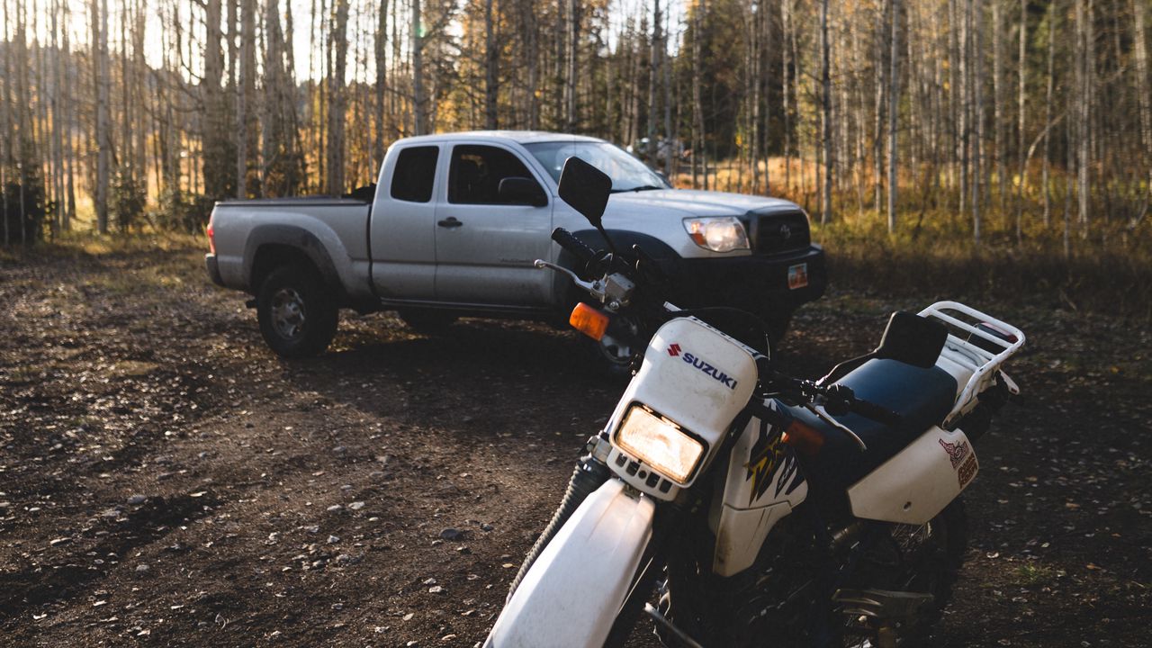 Wallpaper suzuki, car, motorcycle, forest