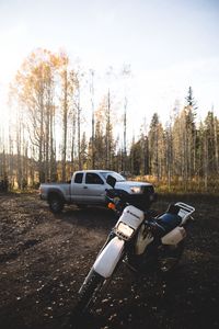 Preview wallpaper suzuki, car, motorcycle, forest