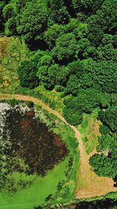 Preview wallpaper swamp, body of water, trees, aerial view