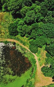 Preview wallpaper swamp, body of water, trees, aerial view