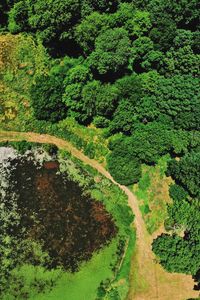 Preview wallpaper swamp, body of water, trees, aerial view