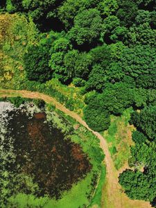 Preview wallpaper swamp, body of water, trees, aerial view