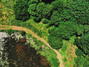 Preview wallpaper swamp, body of water, trees, aerial view