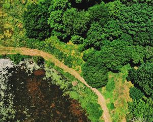 Preview wallpaper swamp, body of water, trees, aerial view