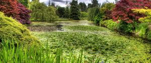 Preview wallpaper swamp, grass, trees