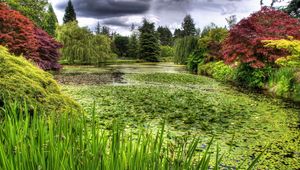 Preview wallpaper swamp, grass, trees