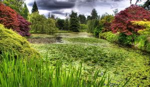 Preview wallpaper swamp, grass, trees