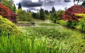 Preview wallpaper swamp, grass, trees