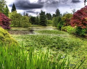 Preview wallpaper swamp, grass, trees