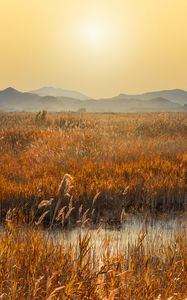 Preview wallpaper swamp, mountains, reeds, sunset, landscape