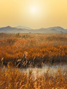 Preview wallpaper swamp, mountains, reeds, sunset, landscape