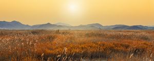 Preview wallpaper swamp, mountains, reeds, sunset, landscape