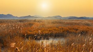Preview wallpaper swamp, mountains, reeds, sunset, landscape