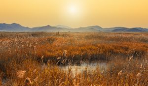 Preview wallpaper swamp, mountains, reeds, sunset, landscape