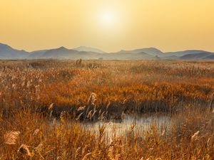 Preview wallpaper swamp, mountains, reeds, sunset, landscape