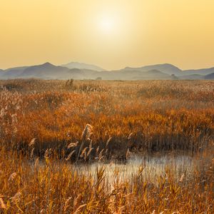 Preview wallpaper swamp, mountains, reeds, sunset, landscape