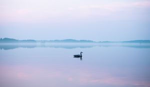 Preview wallpaper swan, fog, lake, bird