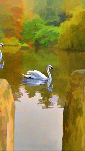 Preview wallpaper swan, lake, picture