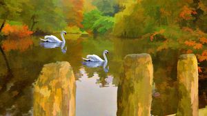 Preview wallpaper swan, lake, picture