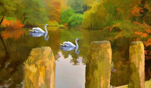 Preview wallpaper swan, lake, picture