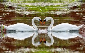 Preview wallpaper swan, lake, swim, steam, fidelity, reflection, heart