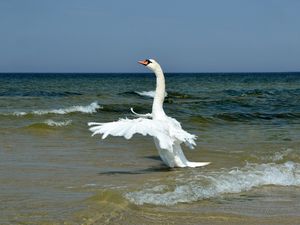 Preview wallpaper swan, wings, bird, swing, waves, beach