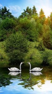 Preview wallpaper swans, birds, couple, river, grass, trees, sunlight