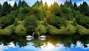 Preview wallpaper swans, birds, couple, river, grass, trees, sunlight