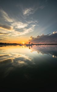 Preview wallpaper swans, birds, horizon, sunset, rays