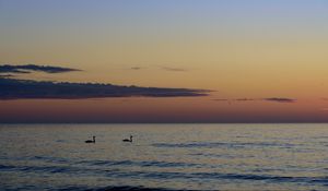 Preview wallpaper swans, birds, silhouettes, sea, water, sunset