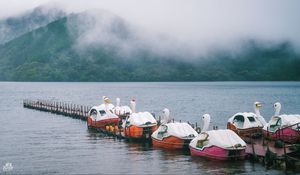 Preview wallpaper swans, boats, pier, lake, mountains, fog