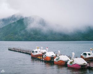 Preview wallpaper swans, boats, pier, lake, mountains, fog