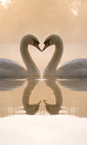 Preview wallpaper swans, lake, love, heart