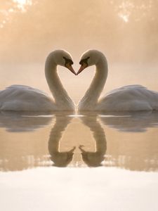 Preview wallpaper swans, lake, love, heart