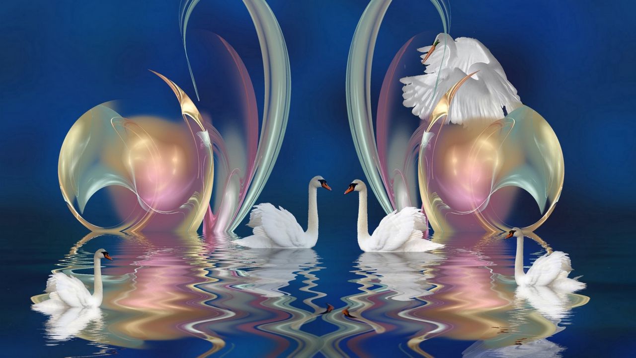 Wallpaper swans, patterns, swim, beautiful