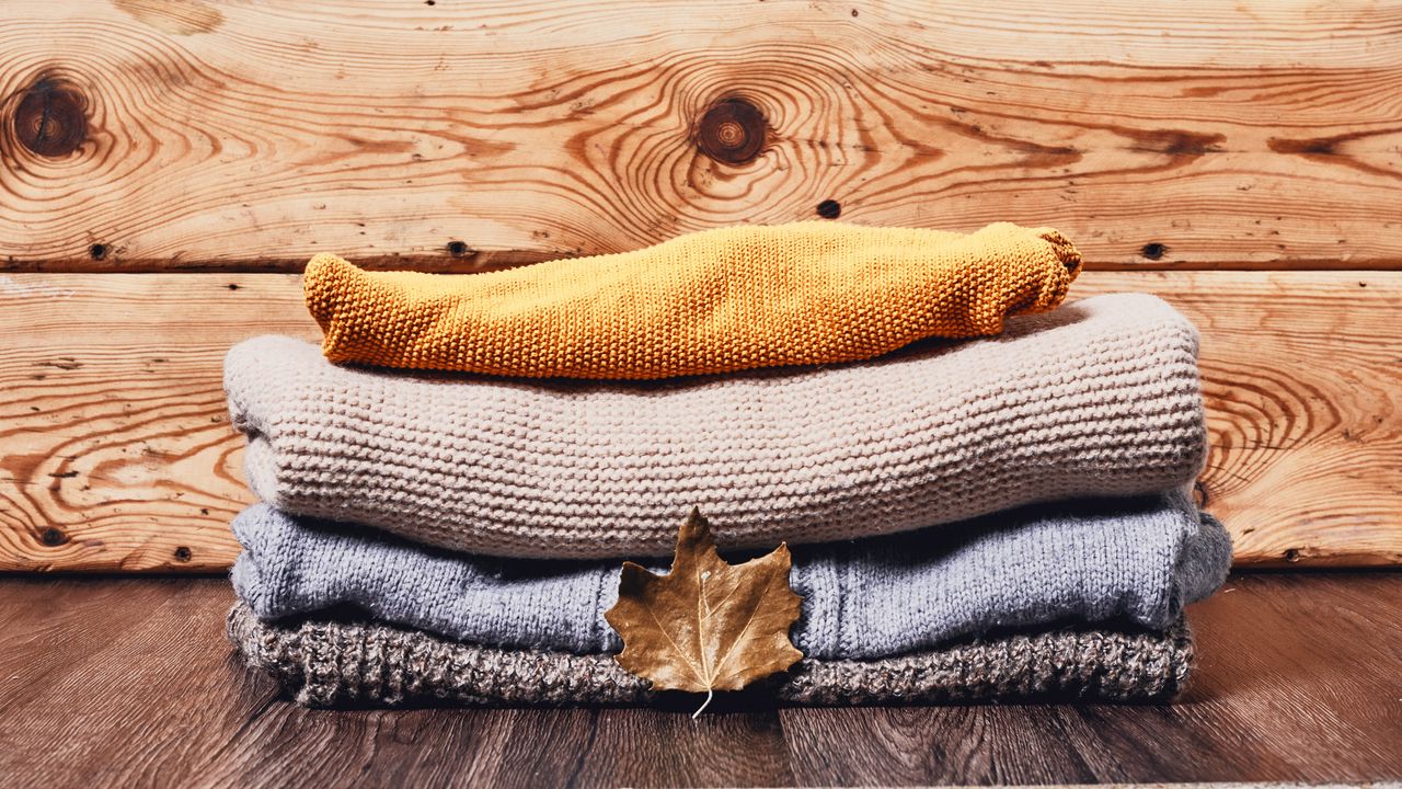 Wallpaper sweaters, leaf, dry, autumn, aesthetics
