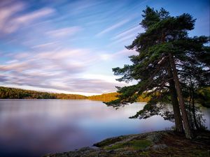 Preview wallpaper sweden, lakes, trees