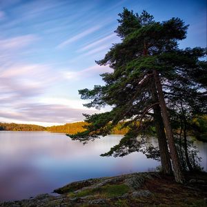Preview wallpaper sweden, lakes, trees