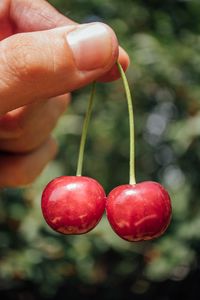 Preview wallpaper sweet cherry, cherry, berry, fruit, hand