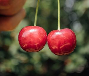 Preview wallpaper sweet cherry, cherry, berry, fruit, hand