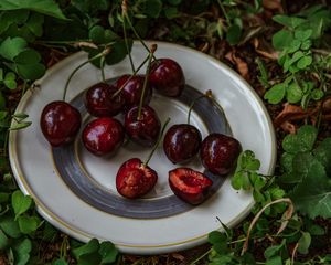 Preview wallpaper sweet cherry, cherry, berry, plate, fruit