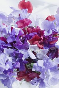 Preview wallpaper sweet pea, colorful, bouquet